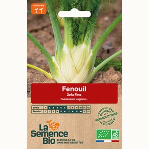 Fenouil zefa fino - graines bio