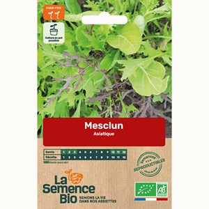 Mesclun asiatique - graines bio
