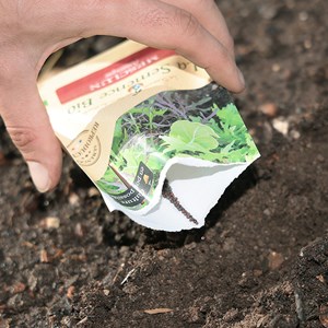 Mesclun asiatique - graines bio