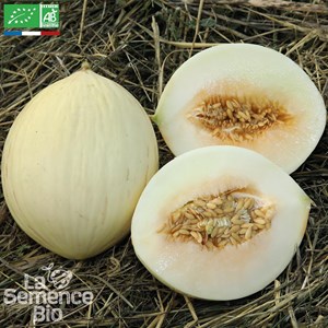 Melon douceur de l'arc - graines bio