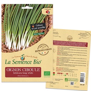 Oignon ciboule ishikura long white bio