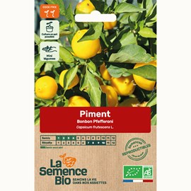 Piment bonbon pfefferoni - graines bio