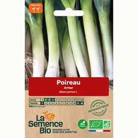 Poireau armor - graines bio