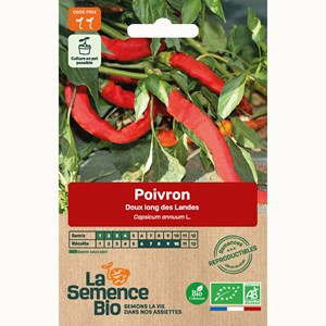 Poivron doux long des landes - graines b