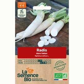 Radis blanc daïkon - graines bio