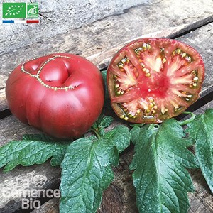 Tomate brandywine joyce - graines bio
