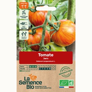 Tomate jan's bio