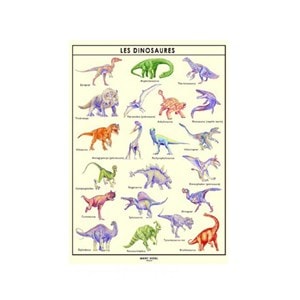 Poster les dinosaures