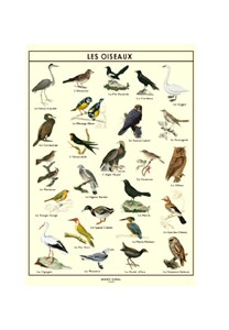 Poster les oiseaux