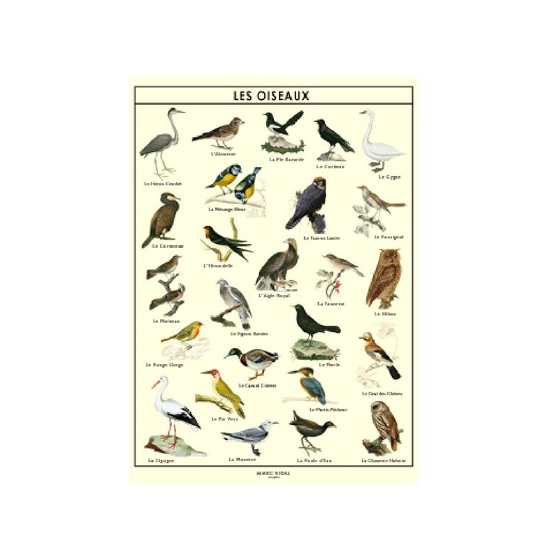 Poster les oiseaux