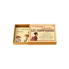 J'apprends à reconnaître les champignons