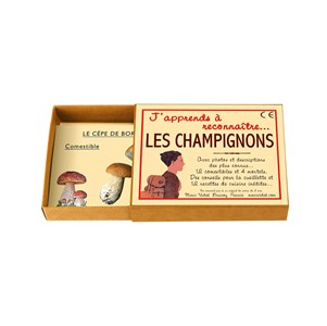 J'apprends à reconnaître les champignons