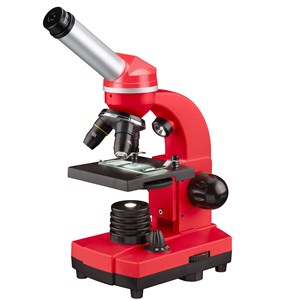 Microscope étudiant biolux sel