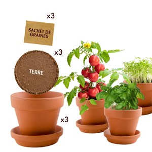 Trio pots gourmands - graines à semer