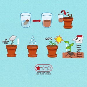 Trio pots gourmands - graines à semer