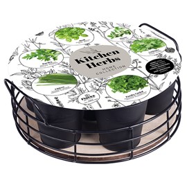 Plateau 6 herbes aromatiques noir mat