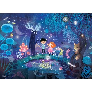 Puzzle - escapade nocturne