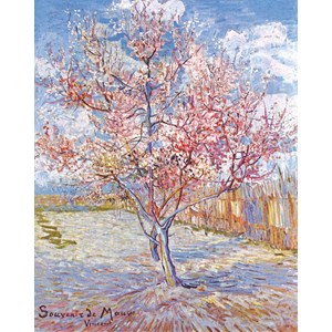 Souvenir de mauve de van gogh