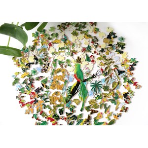 Puzzle - quetzal resplendissant