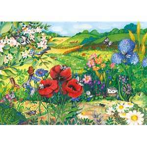Prairie en fleurs