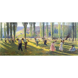 L'été d'henri martin