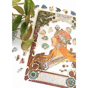 Zodiac de mucha