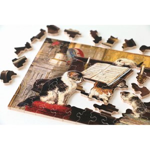 Leçon de piano de ronner-knip