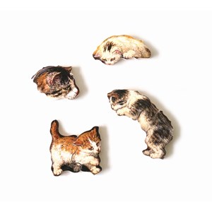 Leçon de piano de ronner-knip