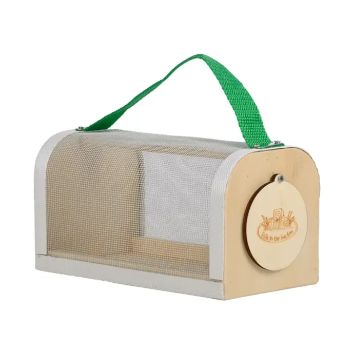 Kit D'exploration D'insectes CTForest – Boîte D'observation, Filet, Capsule Piège – Pour Enfants Curieux De Nature