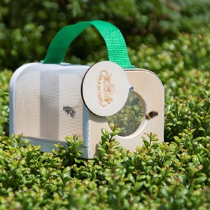 Boîte d'observation des insectes