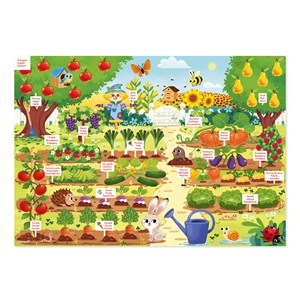 Mon jardin magnétique