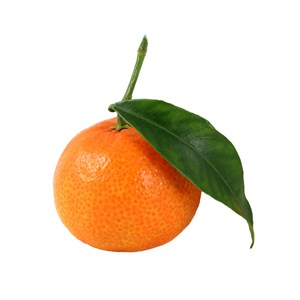 Petit grain clémentinier - huile essentielle bio - 5ml garantie chromacert® - ch