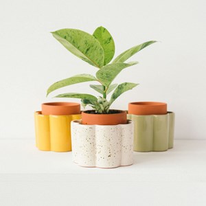 Paula - blanc grainé