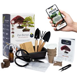 Bonsai premium - kit complet