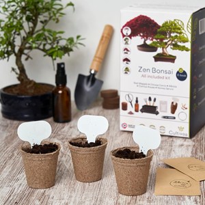 Bonsai premium - kit  complet