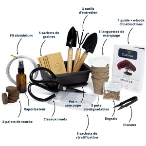 Bonsai premium - kit  complet