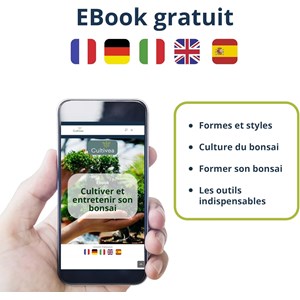 Bonsai premium - kit  complet