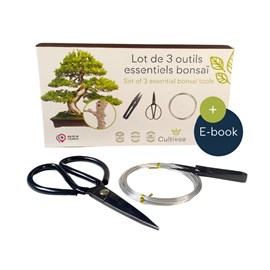 3 outils bonsai (ciseaux, fil aluminium)