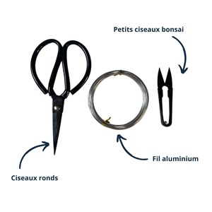 3 outils bonsai (ciseaux, fil aluminium)