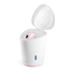 Sauna facial luxury steamer
