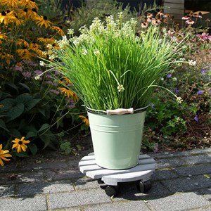 Support plantes à roulettes gris 28 cm