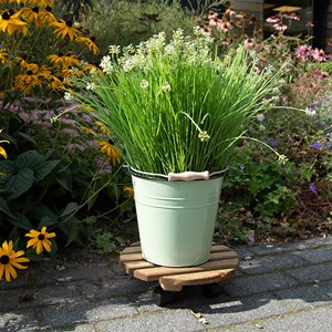 Support plantes à roulettes rond 29 cm