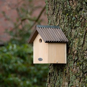 Nichoir mésange bleue 23 cm