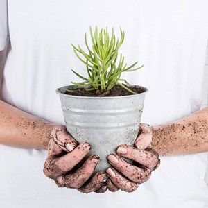 Pot de fleurs zinc 13 cm