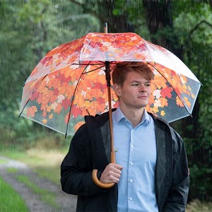 Parapluie feuilles d'automne 95cm