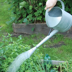 Arrosoir en zinc buse amovible 4,6l