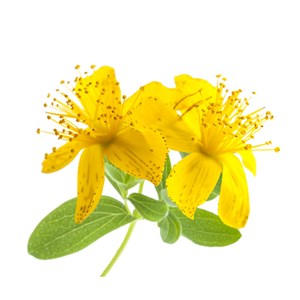 Millepertuis - huile essentielle bio - 5ml garantie chromacert® - chémotypée & i