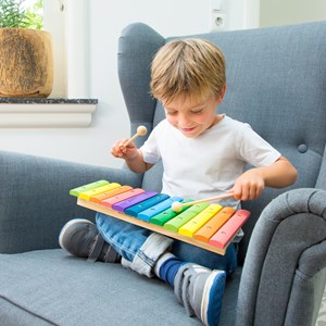 Xylophone 12 tons