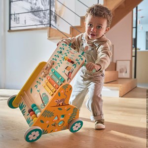 Chariot de marche multi-activités tropi