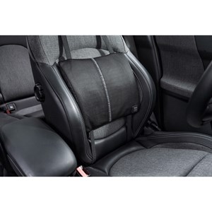 Coussin chauffant - dos